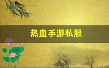 热血手游私服(热血游戏手游)