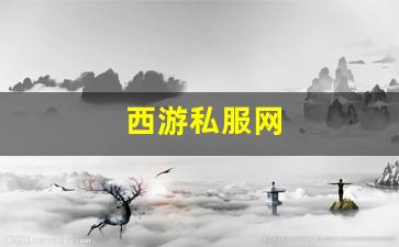西游私服网(西游网游戏中心)