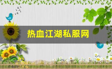 热血江湖工具箱：热血江湖私服网 (4)