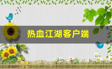 热血江湖 私服：热血江湖客户端(热血江湖客户端内部发生错误) (3)
