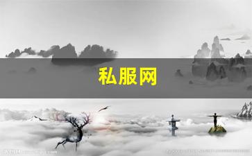 私服网(手游私sf平台) (12)