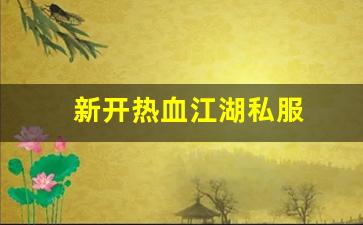 新开热血江湖私服 (10)